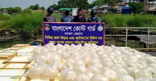 কোস্টগার্ডের অভিযানে সাড়ে ৫ কোটি টাকার অবৈধ চিংড়ির রেণু জব্দ